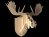 Vlaemsch (), Belgium