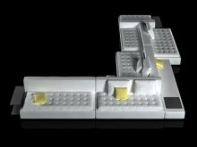 Domino 15