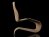 Bolide Chaise Longue 6