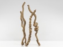 Column Rope