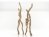 Column Rope 3