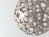 Coral Citrus 4