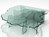 Shell 3