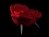 Rose chair 2