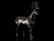 Horse Lamp 2