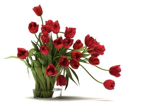 Tulips 01 14