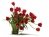 Tulips 01 14