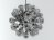Taraxacum 88 S1  1