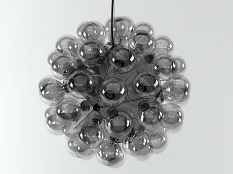 Taraxacum 88 S1  5