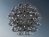 Taraxacum 88 S1  3