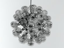 Taraxacum 88 S1 