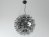 Taraxacum 88 S1  6