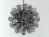 Taraxacum 88 S1  5