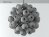 Taraxacum 88 S1  10