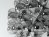 Taraxacum 88 S1  4
