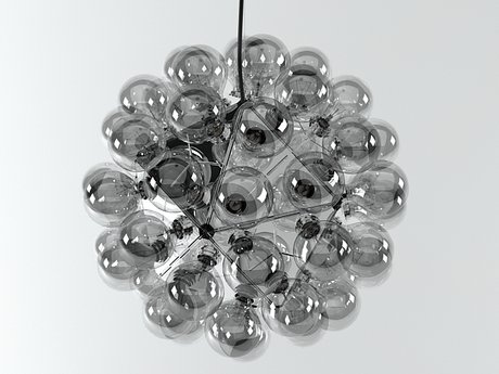 Taraxacum 88 S1 