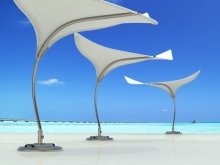 Sting Ray