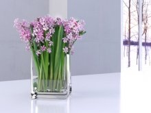 Hyacinth