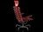 DS 2100 Skeleton 4
