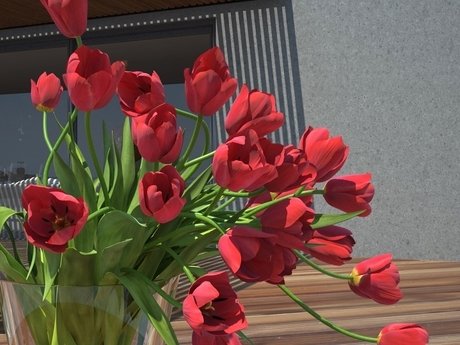 Tulips 01 13