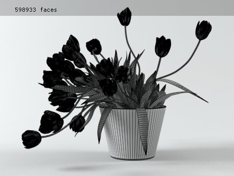Tulips 01 19