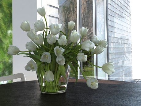 Tulips 01 12