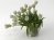 Tulips 01 7