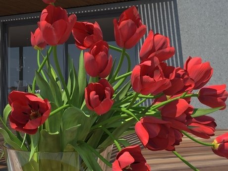 Tulips 01 9