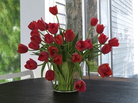 Tulips 01 10