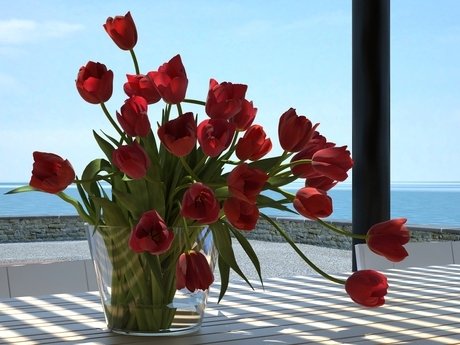 Tulips 01 11
