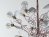 Birdie pendant lamp 17