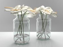 Anthuriums