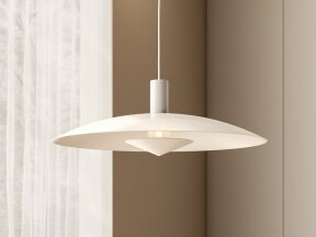 3080 Ceiling Light