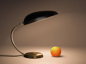 Organic Shade Table Lamp