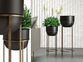 Flowers and plants deco 3d models by Design Connected