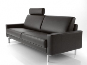 Modular Leather Sofas and Components