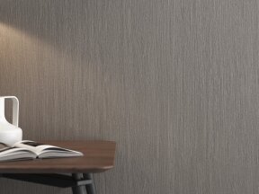 Brushed Metallic Plaster