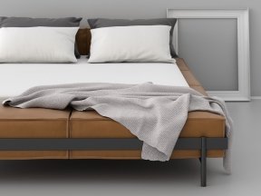 DS-1121/152 Bed