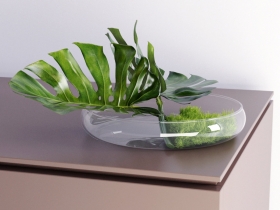 Philodendron Dianthus Vessel