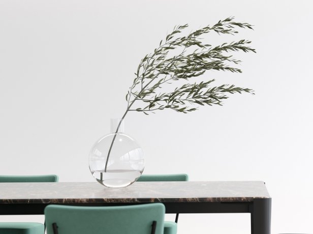 Glass Vase With Olive Branch 3d Model, Twig Cabinet Pulls 3d Model