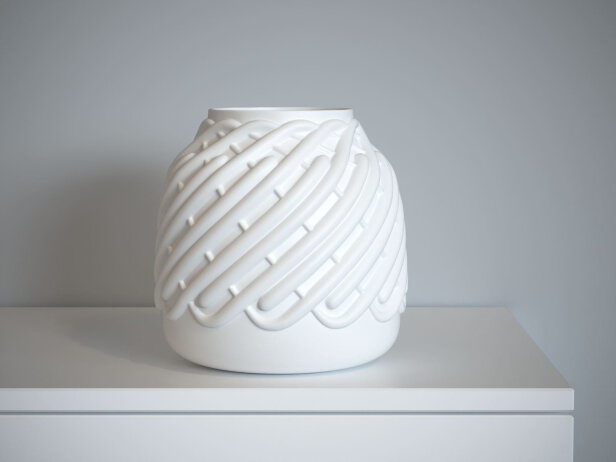famous Unarmed curve Dalva Vases 3d model | Ligne Roset, France